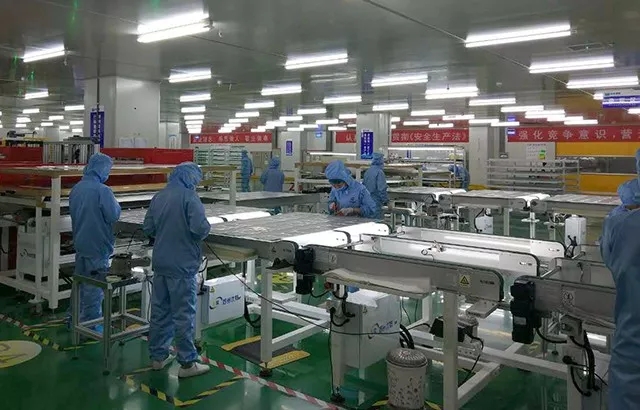 东果博天，国际化步伐增强发展新动力