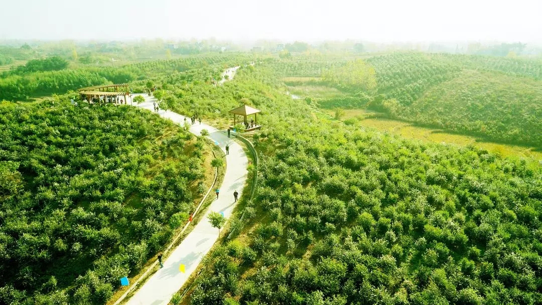  为“国油”产业化插上智能科技的翅膀〡东果博天积极探索两化融合，油茶产业迈向工厂智能化