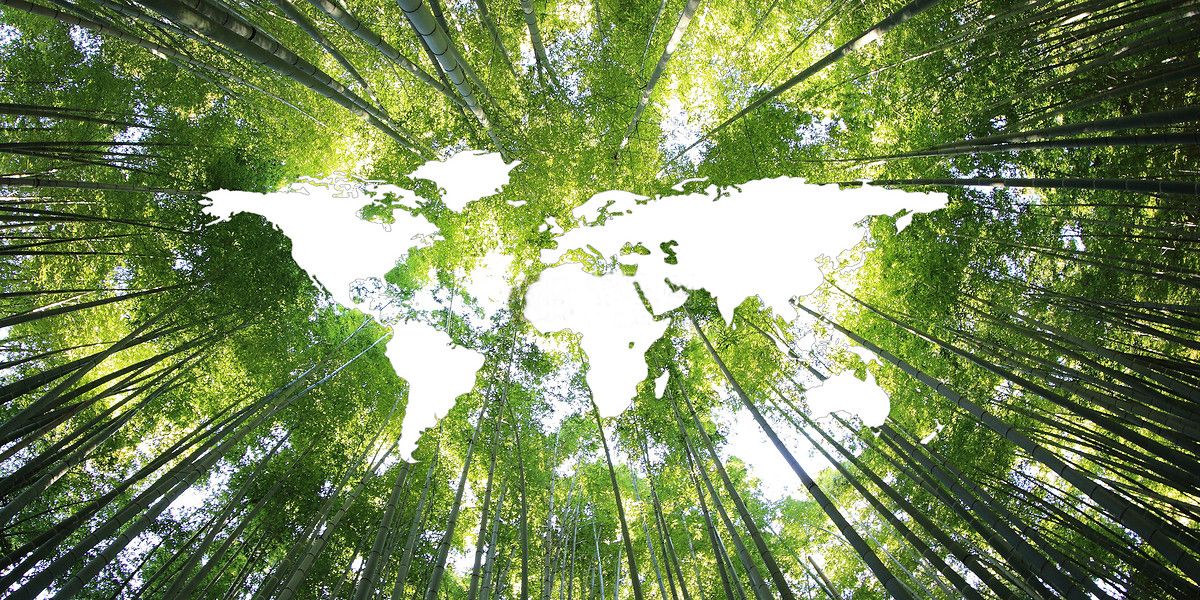 植树节：“风光”护绿，大美中华