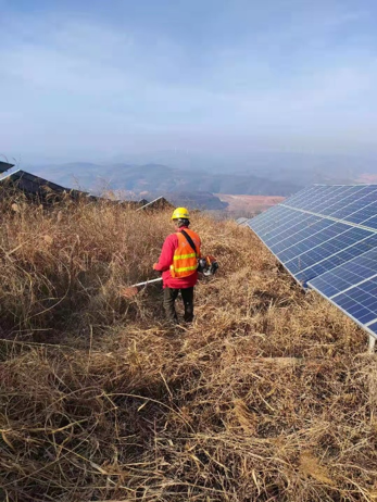 守护绿电 东果博天开展光伏电站春季除草行动