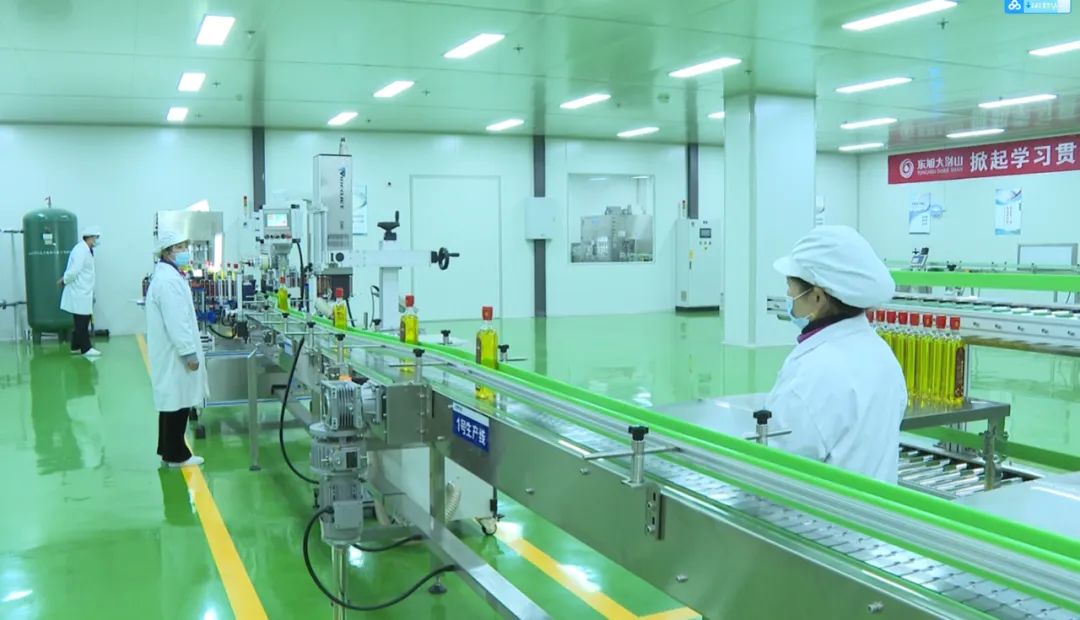 “光伏+农业”助力乡村振兴 东果博天探路经济与生态和谐共存